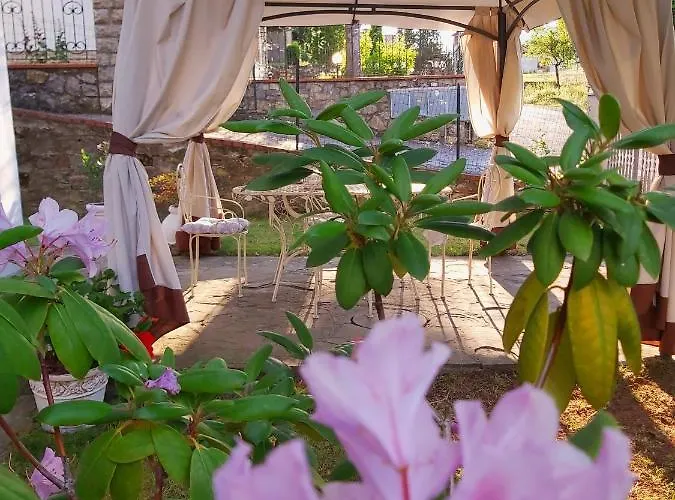 Lägenhet Elvira Ambra